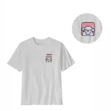 patagonia ResponsibiliT