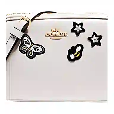 COACH Crossbody Pouch 19