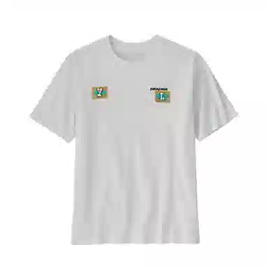patagonia T
