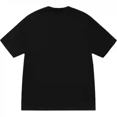 Stussy SS25 BERRIES TEE T