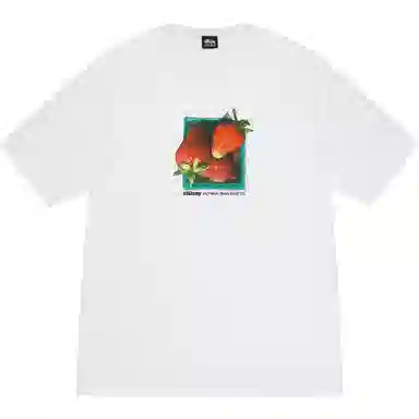 Stussy SS25 BERRIES TEE T
