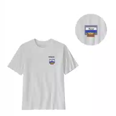 patagonia T