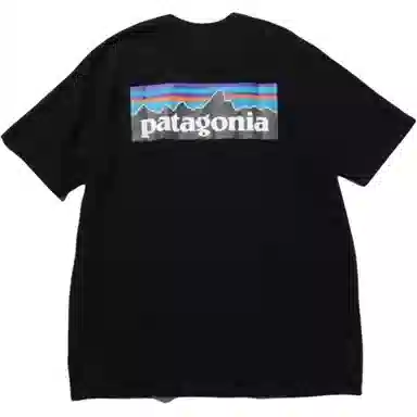 patagonia ResponsibiliT