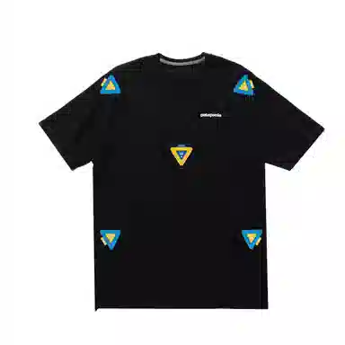 patagonia ResponsibiliT