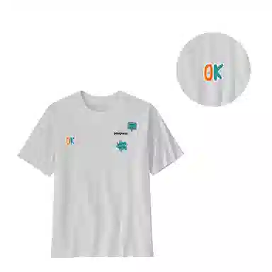 patagonia ResponsibiliT