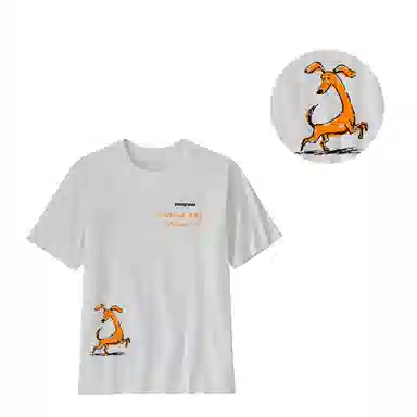 patagonia ResponsibiliT