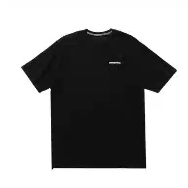 patagonia T