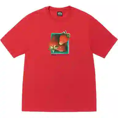 Stussy SS25 BERRIES TEE T