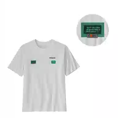 patagonia T