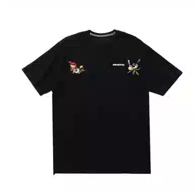 patagonia ResponsibiliT
