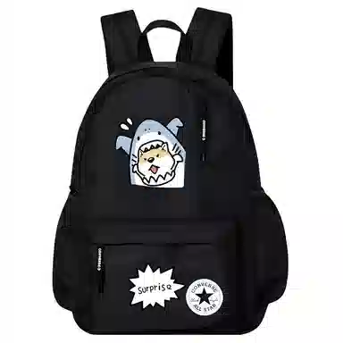 Converse Backpack