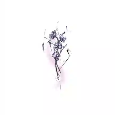 ins7.6*12cm