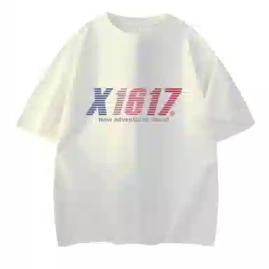 X1617 230T