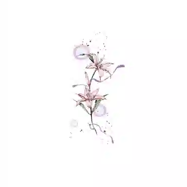 ins7.6*12cm