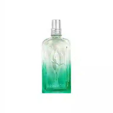 EDT 100ml