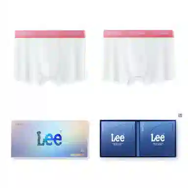Lee 10A 2