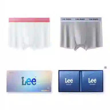 Lee 10A 2