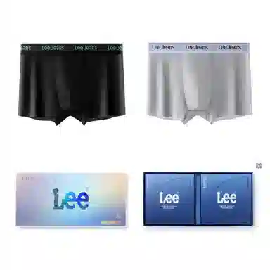 Lee 10A 2