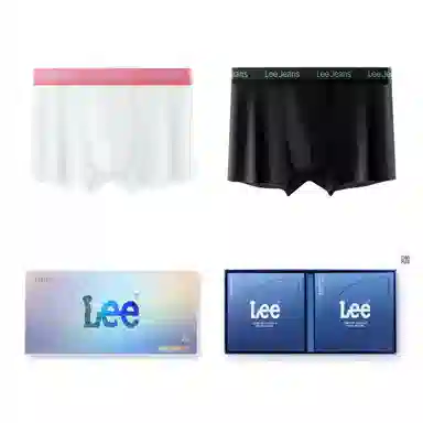 Lee 10A 2