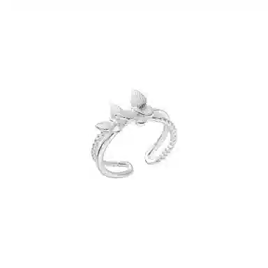 U ZIRCON ins 925