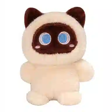 20cm