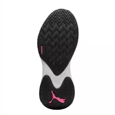 PUMA PWR Hybrid PWR