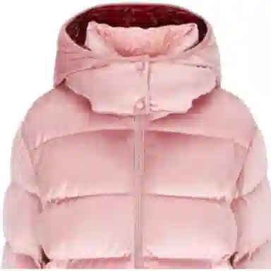 Moncler FW21 Hooded Down Jacket Pink