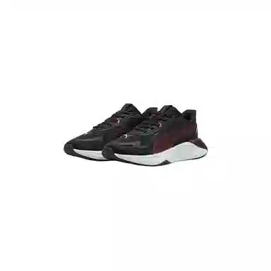 PUMA PWR Hybrid PWR