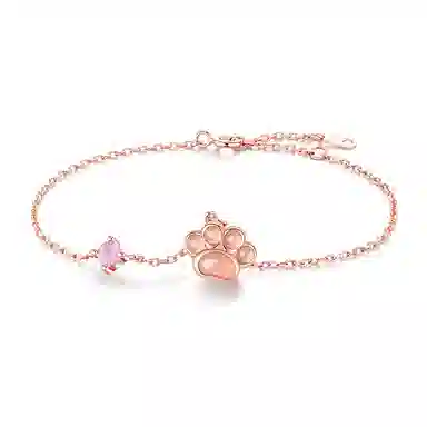 CAREBEARS S925