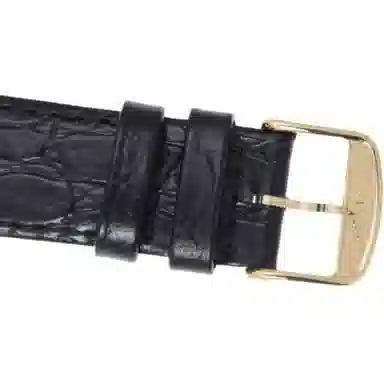 Longines L4.860.2.12.2