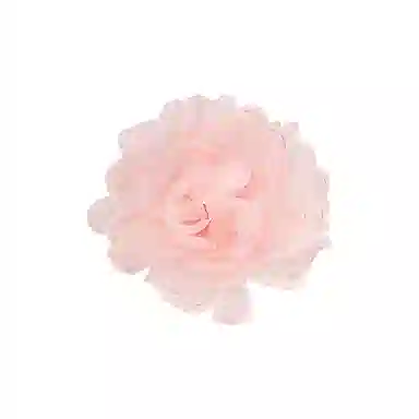 芒果饰品 超仙绝美玫瑰花朵亚克力 布艺 发夹 女款