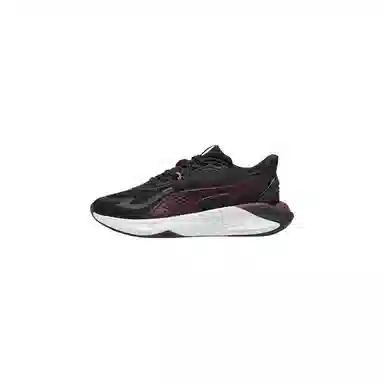 PUMA PWR Hybrid PWR
