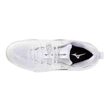 Mizuno WAVE MOMENTUM PRO