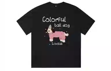 ICONS Lab T