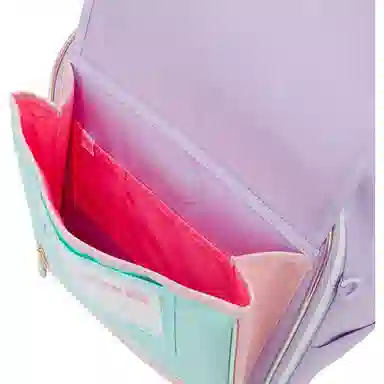 THE NORTH FACE PREPPY