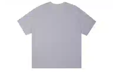 ICONS Lab T