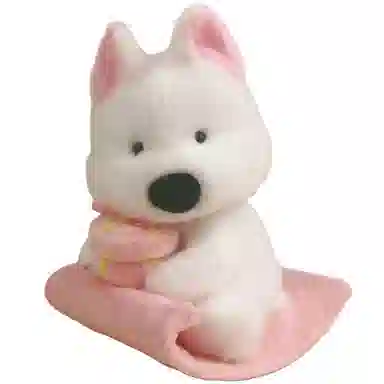 24cm30cm