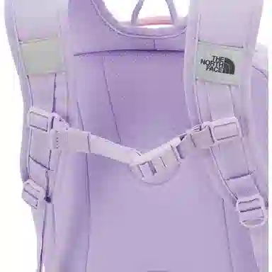 THE NORTH FACE PREPPY