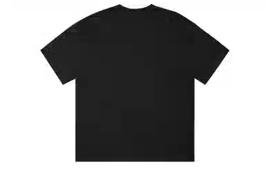 ICONS Lab T
