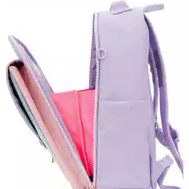 THE NORTH FACE PREPPY