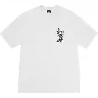 Stussy DOUBLE DRAGON TEE PIGMENT DYED T