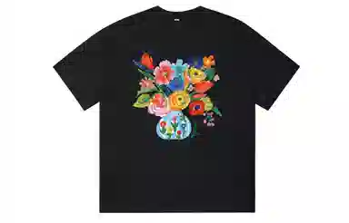 ICONS Lab T