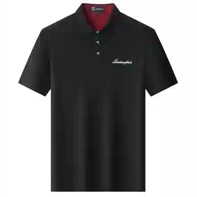 Automobili Lamborghini logoPolo