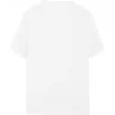 Massimo Dutti T