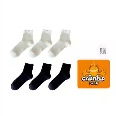 Garfield Family Boneless Thin Lace Mesh Socks Gift Set