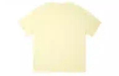 ICONS Lab T