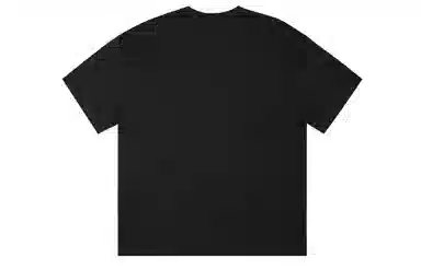 ICONS Lab T