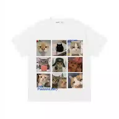 FUNST T