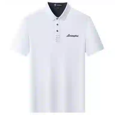 Automobili Lamborghini logoPolo
