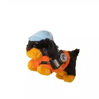 10cm